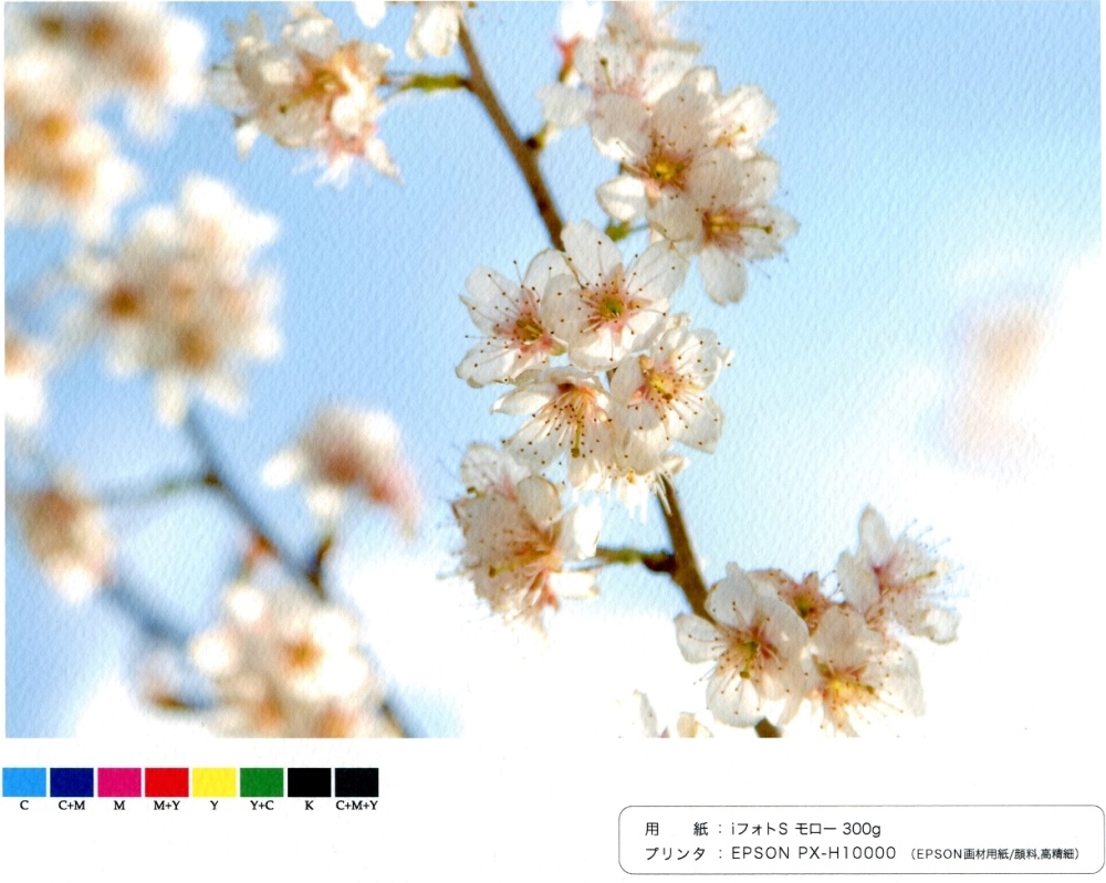 竹尾のインクジェット用紙　iフォトS　モロー　粗目　300g/㎡