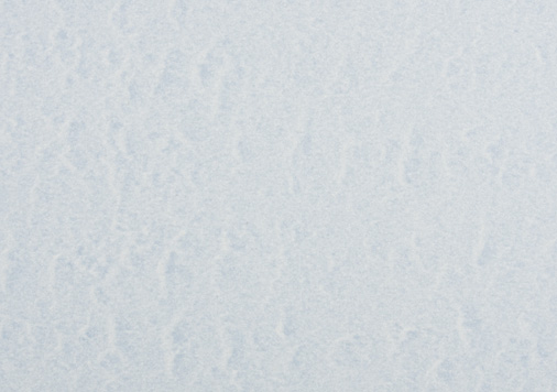 OKミューズさざなみ | わすれなぐさ　四六判Ｙ目 120kg 