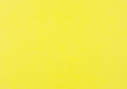 表紙．ベルクール | ひまわり 四六判Ｙ目 70kg │ takeopaper.com + 田中千絵