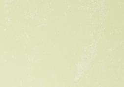 クラシコトレーシング-ＦＳ 星くずし | うす黄 788×546ｍｍＹ目 41kg