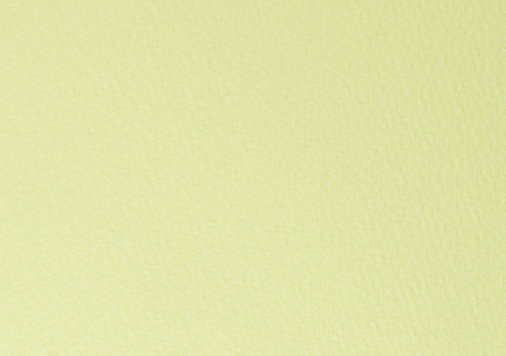 マーメイド | レモン 四六判Ｙ目 110kg │ takeopaper.com + 田中千絵