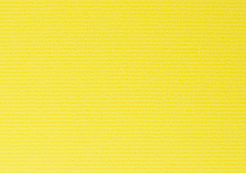 3.ＳＴカバー | ひまわり 四六判Ｙ目 115kg │ takeopaper.com + 田中千絵