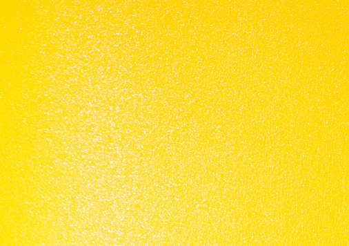 5.ミランダ | ひまわり 四六判Ｙ目 100kg │ takeopaper.com + 田中千絵