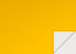 7.リバーシブルプレーン | イエロー 四六判Ｙ目 180kg │ takeopaper.com + 田中千絵