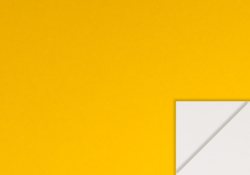 7.リバーシブルプレーン | イエロー 四六判Ｙ目 180kg │ takeopaper.com + 田中千絵