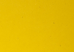 8.ＯＫカイゼル |なのはな 四六判Ｙ目 110kg │ takeopaper.com + 田中千絵