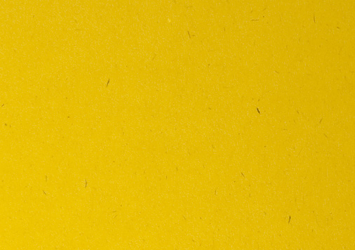 8.ＯＫカイゼル |なのはな 四六判Ｙ目 110kg │ takeopaper.com + 田中千絵