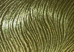 10.オフメタルＵＲ | 金 800×1100ｍｍＴ目 170kg │ takeopaper.com + 田中千絵