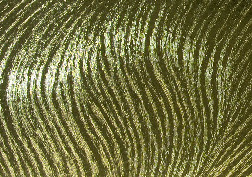 10.オフメタルＵＲ | 金 800×1100ｍｍＴ目 170kg │ takeopaper.com + 田中千絵