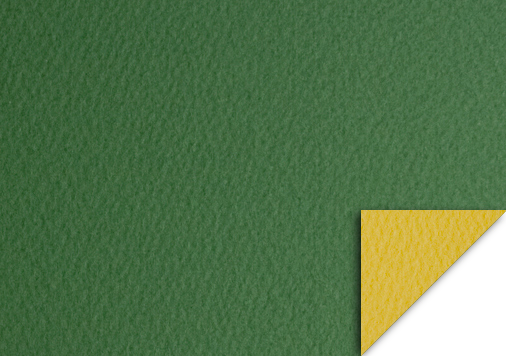 3.リバーシブルマーメイド ｜ 黄色･こけ　Ｂ本判Ｙ目　255kg