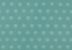 5.玉しき　みずたま ｜ 新橋　四六判Ｙ目　90kg