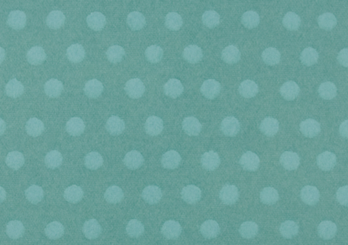 5.玉しき　みずたま ｜ 新橋　四六判Ｙ目　90kg