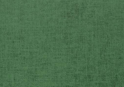 6.タントセレクトＴＳ-1 ｜ Ｈ-64　四六判Ｙ目　100kg