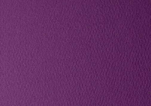 ORANGE　RED　SCALET　～9月　実りの秋～ │ takeopaper.com + 田中千絵