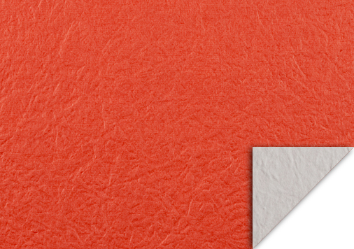 4.リバーシブルもみがみ ｜ しゅ　四六判Y目　110kg │ takeopaper.com + 田中千絵