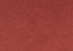 6.羊皮紙 ｜ べに　四六判Y目　110kg │ takeopaper.com + 田中千絵