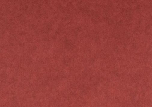 6.羊皮紙 ｜ べに　四六判Y目　110kg │ takeopaper.com + 田中千絵