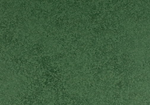 10.タントセレクト TS-3｜ H-64　四六判Y目　100kg  │ takeopaper.com + 田中千絵