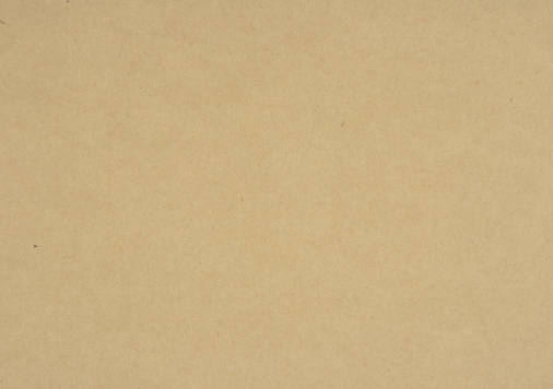 表紙.GA竹紙　ハトロン判T目　108kg