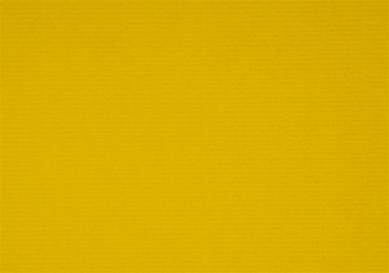 マイカレイド　黄色