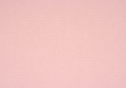 4.マイカレイド　桜