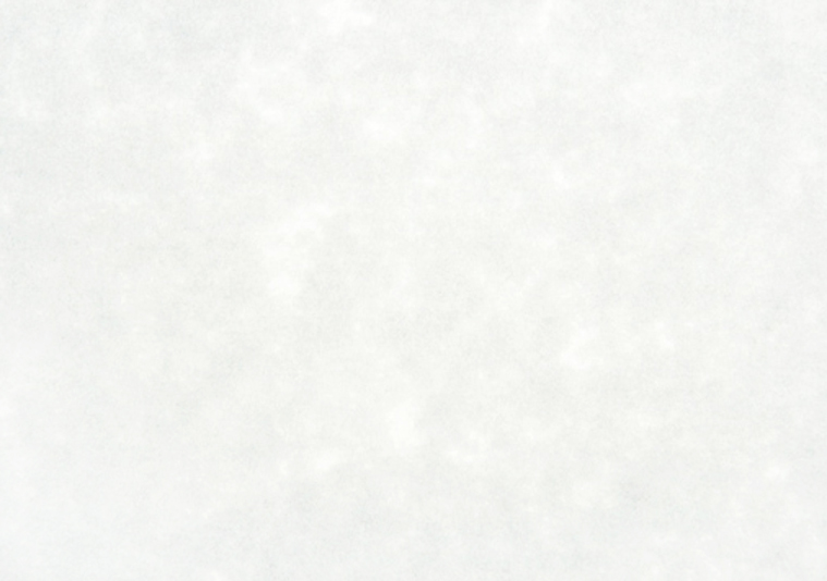 シープスキン　白