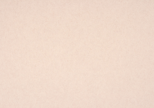 里紙　桜　｜竹尾のウェブストアtakeopaper.com