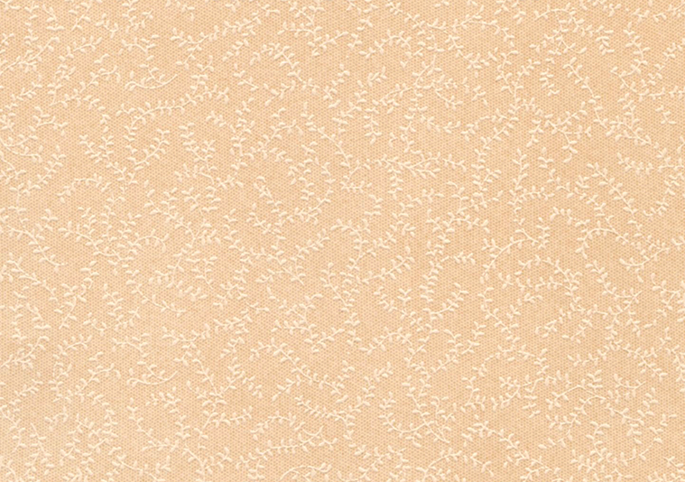 タントセレクトTS-10