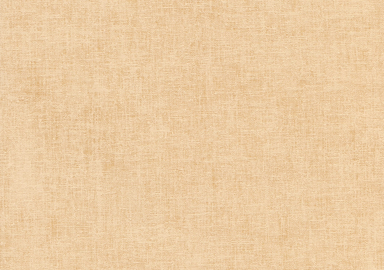 タントセレクト　TS-1