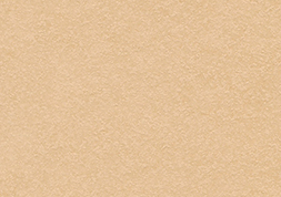 タントセレクト　TS-3