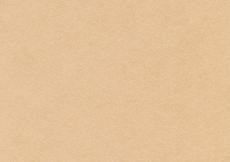 タントセレクトTS-3