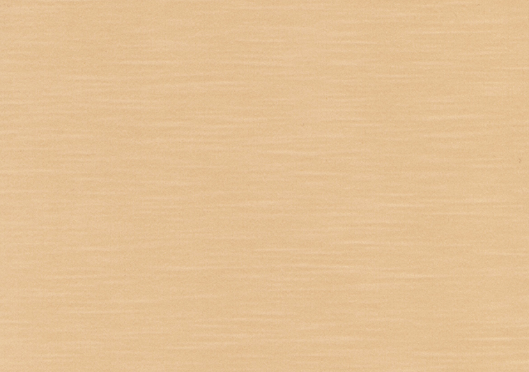 タントセレクトTS-5