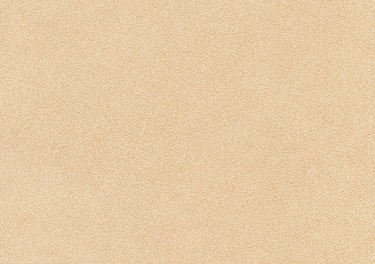 タントセレクトTS-6