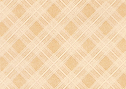 タントセレクト　TS-9