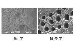 梅炭と備長炭の比較