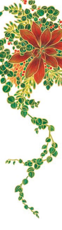 竹尾バナーカレンダー2017　育みの珠