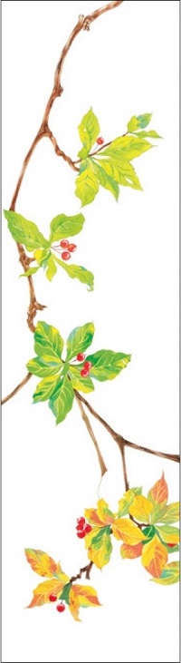 「つなぐ、つづく」穴澤和紗｜バナーカレンダー2018｜竹尾のウェブストアtakeopaper.com