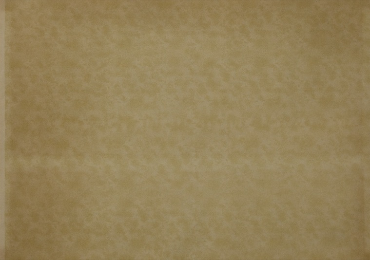 イタリア生まれのデコレーションペーパー　ベルチーニ　bertini　057