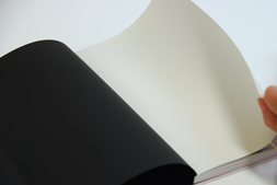 TAKEO DESK DIARY　2015