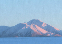 DEEP　PVD1　パルパー　出力見本