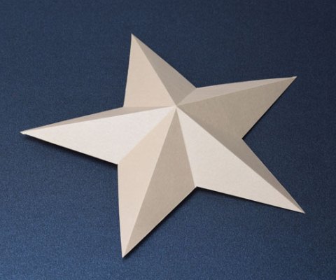 スタードリーム-FS　新色　コーラル